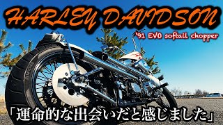 【原型なし】FXSTSスプリンガーソフテイル【車両紹介】