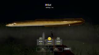 Russian Fishing 4 Old Burg Lake Eel Trophy