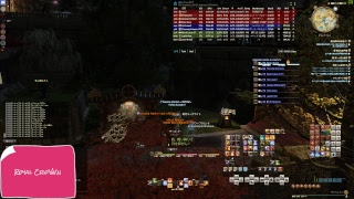 FF14 絶バハムート討滅戦攻略 day12 近接視点 連撃の三重奏