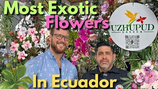 🌹 Discovering Orchid Elegance: Expert Insights, Orchid Care, and Ecuador's Floral Beauty 🌼 🌸 🌻