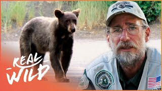The Bear Whisperer
S1 • E3
Bad Bear: A Shock To The Entire Community! | The Bear Whisperer | Wild Things Documentary