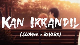 Kan Irandil | Naresh Iyer | Vijay Antony | Dhanush | Genelia | Slowed Reverb | Lyrics video