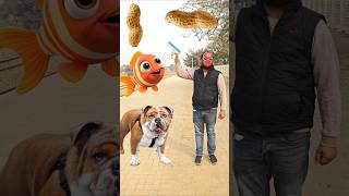 Peanut to Dog, Fish, Cat, Monkey, Magical Video #shorts #vfx #funny #trending #magic #short