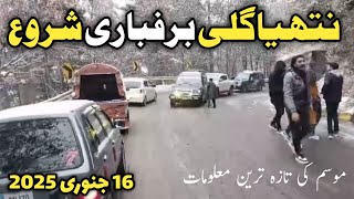 #murree nathiagali latest snowfall updates | #nathiagali live snowfall | murree live | barfbari