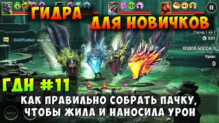 RAID SHADOW LEGENDS, ГИДРА ДЛЯ НОВИЧКОВ, КАК СОБРАТЬ ПАЧКУ, ЧТОБЫ ЖИТЬ И НАБИВАТЬ, ГДН #11