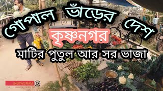 গোপাল ভাঁড়ের দেশে - Kolkata to Krishnagar Bike ride - kulgachi forest - রাজা কৃষ্ণন্দ্রের রাজ