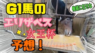 G1馬の競馬予想!!!『エリザベス女王杯編』【ツルマルボーイ様のシモべ】