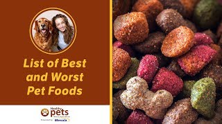Dr. Becker Shares Her Updated List of Best and Worst Pet Foods