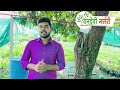 lemon farming लिंबू लागवड करताना येणाऱ्या अडचणी व त्यावर उपाय संपूर्ण माहिती .