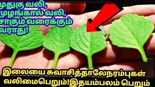 சாகும்வரை முதுகுவலி, முழங்கால் மூட்டுவலி இதயஅடைப்பு,கொழுப்புகள், செரிமானகோளாறு, நரம்புதளர்ச்சி வராது