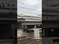 東海道新幹線の車掌さん上半身乗り出し！！ほぼ箱乗り！！！【小田原駅に入線するこだま741号名古屋行】