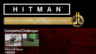 HITMAN Professional Mode Challenges - Marrakesh - A Room with a Moose, Drama Queen