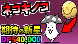 【強タマゴキャラ】 ネコキノコ (黄色いタマゴ:N106 第3形態) 性能紹介　【にゃんこ大戦争】