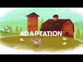 兩分鐘看懂調適和減緩 adaptation and mitigation climate wisconsin