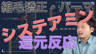 美容師向け【システアミン還元反応】ミックスジスルフィルド・親水性・疎水性を把握！チオグリコール酸以外の還元剤は〇〇なんです・・・ハイブリットパーマ液の秘密とは⁉︎スピエラ・システイン・GMTも〇〇？？