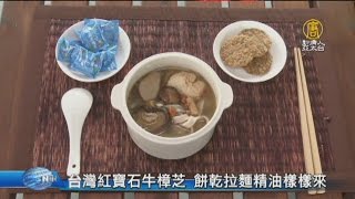 【新唐人/NTD】台灣紅寶石牛樟芝 餅乾拉麵精油樣樣來｜牛樟芝｜子實體｜牛樟芝精油｜牛樟芝拉麵｜台灣紅寶石｜養生