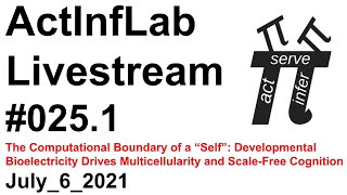 ActInf Livestream #025.1 ~ "The Computational Boundary of a Self"