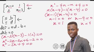 No Inverse Matrix | Example