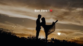 Sun Zara Soniye Sun Zara | Sonu Nigam 90's Song | Lyrics Video Status