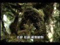 【自然生態】森林生態系│台灣島嶼擁有多樣森林型態 我們的島 112集 2001 06 18