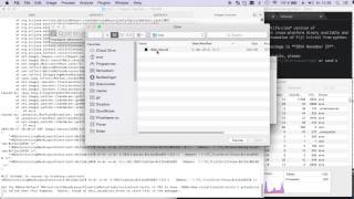 Automate fiji tasks with python