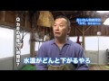 あいなん物産探訪1月（カキ）