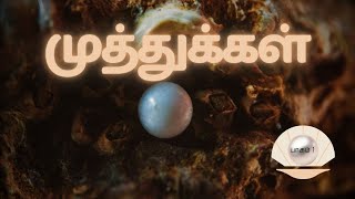 முத்துக்கள் |பாகம் 1