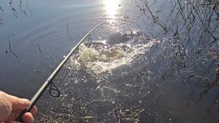 Grandiosa pesca en Río crecido!