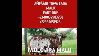 DIE LÁRA ÌWÚLÒ ARA MALU PART ONE, +2348032983298, +22954651928, +2250584811131