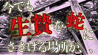 【奈良】の怖い場所!?人身御供を今も捧げ続ける神社がありました/歴史ミステリー/君の名は/奈良公園観光オジさん行ってきましした/蛇神さま/都市伝説