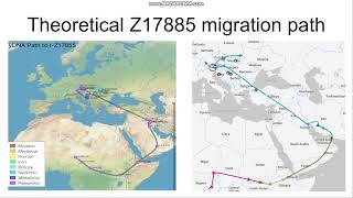 Vladimir Kocovic: DNA Genealogy of the Serbs - Personal Case Study