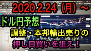 FX2020.2.24（月）〜ドル円予想・戦略。