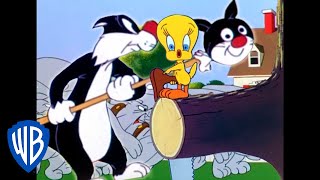 Looney Tunes | Sylvester Tries To Get Through The Guard Dogs | Classic Cartoon | WB Kids