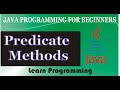 Predicate Method in Java [Detail] || Java Programming 2020