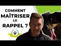 Comment Travailler le Rappel avec Ton Chien ? LA Méthode en 3 Phases