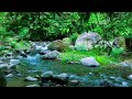 soothing river flow ambience relaxation sounds for sleeping