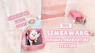 INSIDE SEMBAWANG Animal Quarantine Station | SINGAPORE | Relocation