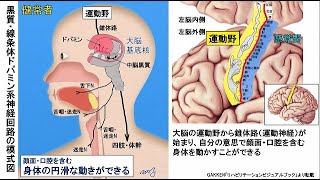 94  DLBの摂食・嚥下障害④