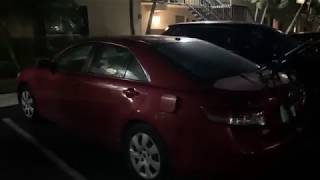 Security Guard Finds Roach Infested Car
