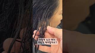 뉴트릭스케라틴 녹은머리 복구클리닉 #hair #hairtransformation #hairstyle #뉴트릭스케라틴 #복구클리닉