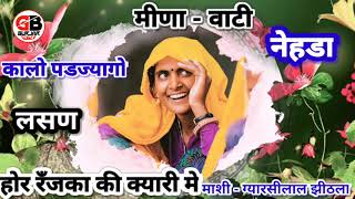 मीणा वाटी नेहडा | कालो पडगो र लसण रँजका की क्यरी में | Meena wati Noida || Gujjar-बन्धु™||