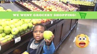 RayandRy Vlogs #1 | Going Grocery Shopping | Did We Get New Toys?