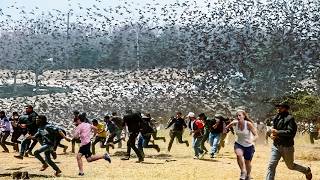 85 Strange Things Happening Right Now Around the World | One In a Billion Moments In Nature