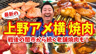 【上野アメ横】老舗焼肉の攻略ガイド（ごちゃまぜホルモンや牛タンなど食べ歩き）