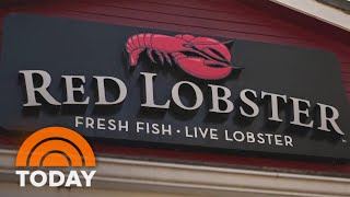 Red Lobster Ceo Talks Comeback New Menu Endless Shrimp