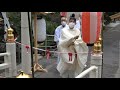 2020答志島 御多羅志神社遷宮祭 初渡橋