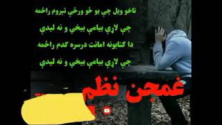 تاخو ویل چی یو څو ورځي تیروم راځمه چی لاړی بيامی بیخی و نه لیدی دا کتابونو امانت درسره ګام راځمه