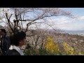 福島県に桃源郷 花見山公園