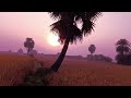 ସୂର୍ଯ୍ୟ ଉଦୟ ମନୋଲୋଭା ଦୃଶ୍ୟ 🌾 cinematic view cinematic