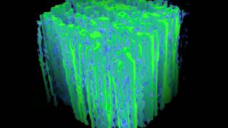 Density Field Model for Lignocellulose Mesostructure